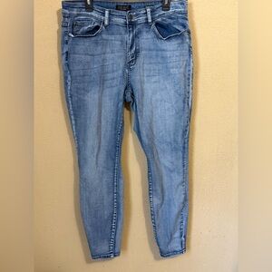 Judy Blue Light Wash Skinny Jeans